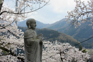 Hanami in Yudanaka