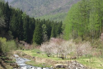 Higashichikuma-gun view