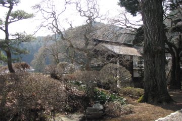 Nature is awaking from winter that is cold in Nagano