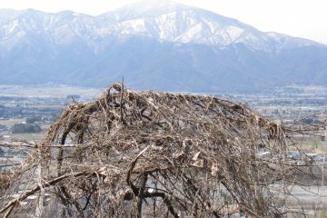 Early spring in Nagano