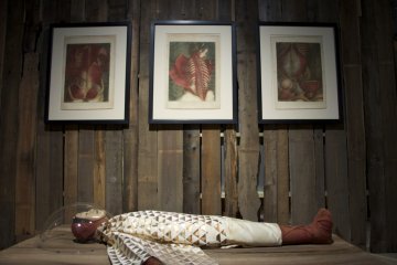 Lost Human Genetic Archive exhibit