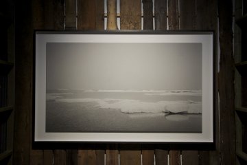 Lost Human Genetic Archive exhibit