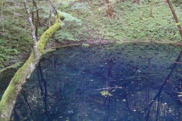 The famous blue pond.