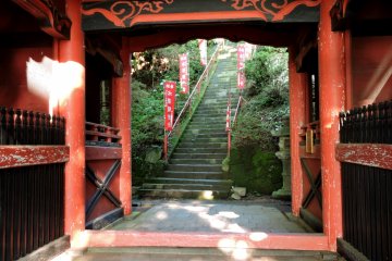 Looking through the gate