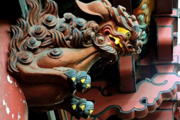 Yellow-eyed shishi