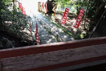 Looking down