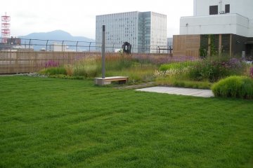 Sky Garden 12