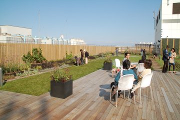 Sky Garden 7