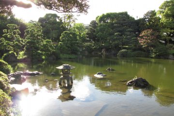 Clear your mind next to the pond