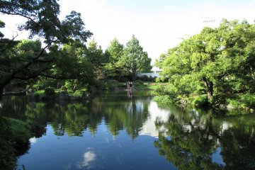 It is hard to believe that this is hidden in the heart of Tokyo