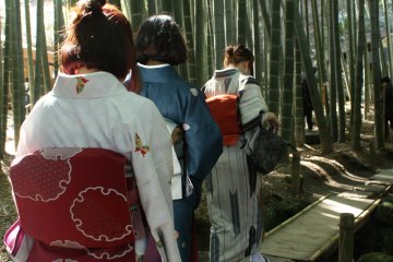 Karena tidak seramai yang di Kyoto, taman ini jadi sangat enak dipakai untuk foto-foto