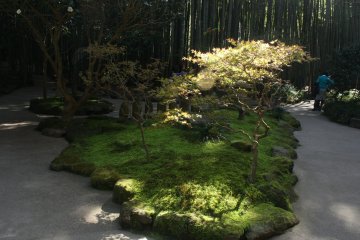 Sudut lain dari taman Hokokuji
