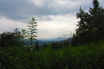Higashiyama Walking Course