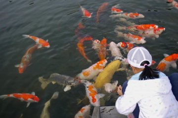 Sankeien Garden