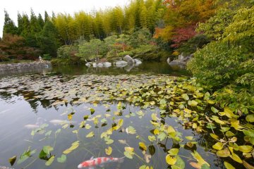Sankeien Garden