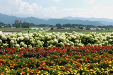 "Road Trip" Musim Panas di Gunma