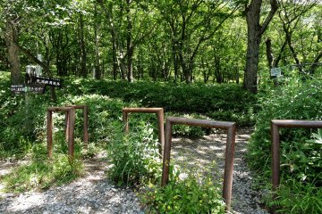 Entrance to the trail