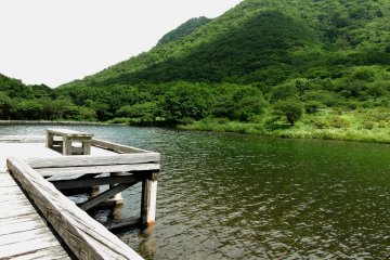 a place to sit and eat lunch, or just admire the scenery