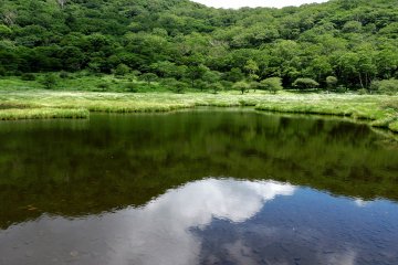 Reflections in the lake