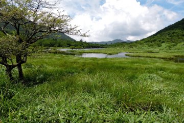 View from the far end of the lake