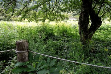 A rope and post fence reminds you to keep to the track