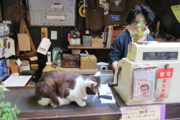 The store of what not in Narai (cat not for sale)