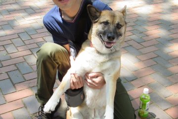 This boy with his dog kindly guided me to the station in Toba when I was lost