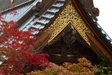 Massive Temple roof top surrounded by beautiful autumn colours