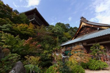 The extreme wide-angle shot gives you an idea about the overall setting of the various buildings