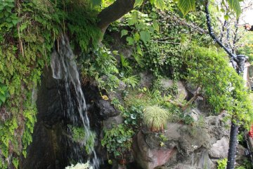 Un petit coin de verdure au centre du parc