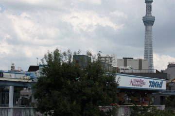 La vue sur la Tokyo Sky Tree