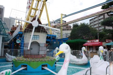 Un petit tour en cygne ? 