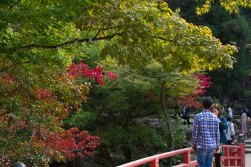 The short walk to the ropeway station is also very rewarding, as it leads through a beautiful park