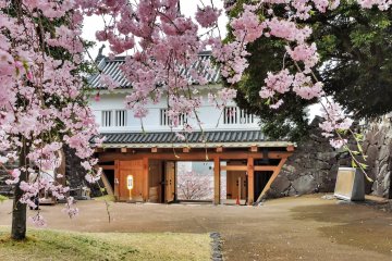 Maizuru Castle Park near Kofu Station in Yamanashi