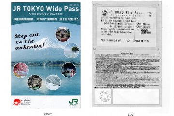 Your pass will look like this