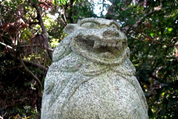 Komainu in Kyoto