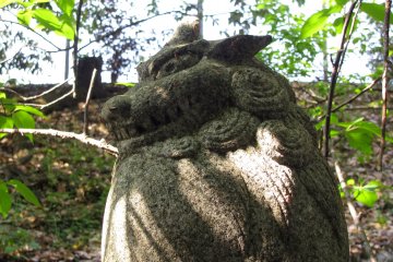 The pair komainu, Kyoto