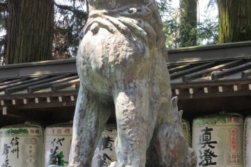 Old komainu of one of Suwa jinja