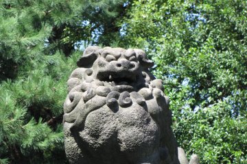 Komainu of Ueno, Tokyo