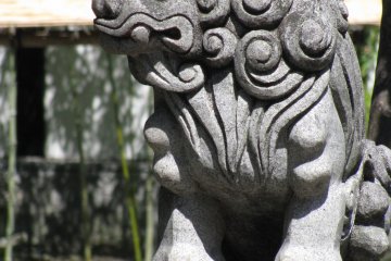 Very curly komainu of Asakusa, Tokyo