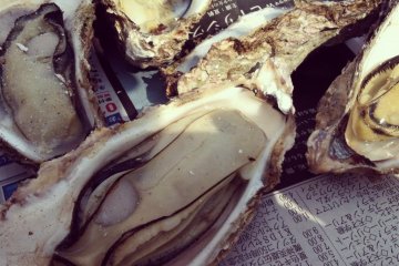Oysters from the Seto Inland Sea.