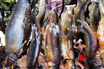 Salted Ayu fish.