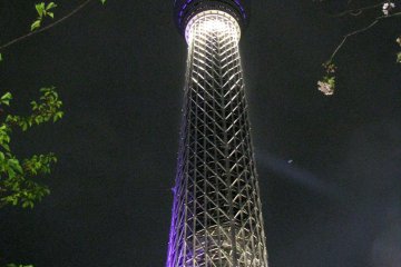 Tokyo Skytree and Asakusa at Night