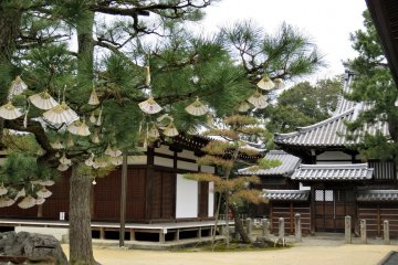 Prayer wishes fluttering in the breeze