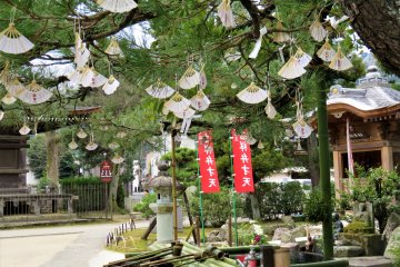 The countless fans here remind me of the story of Sadoko, a child diagnosed with leukemia, who races against time to fold one thousand paper cranes to fulfill the legend that by doing so a sick person will become well