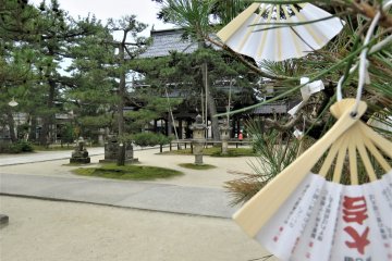 Prayer wishes fluttering in the breeze
