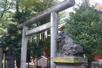 Exploring the back and side ends of the shrine