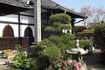 Traditional and tranquil