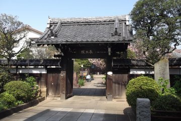 The gate from the street