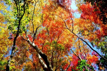 Colors everywhere